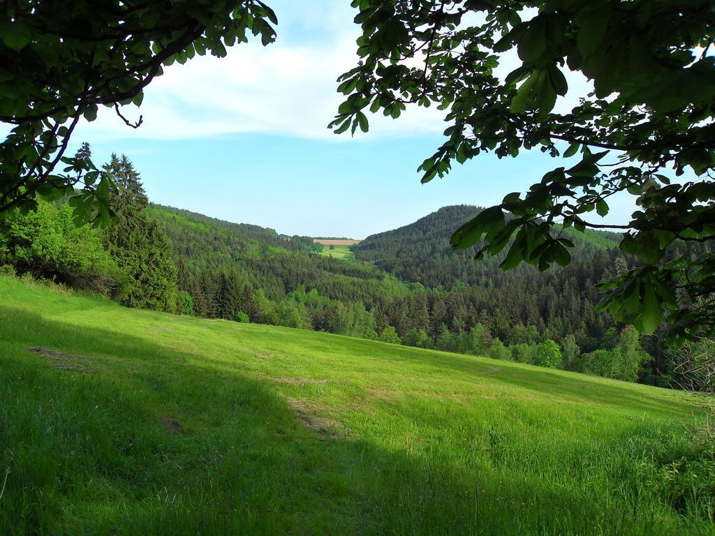 Ferienwohnung Wildenreuth Weidenberg Экстерьер фото