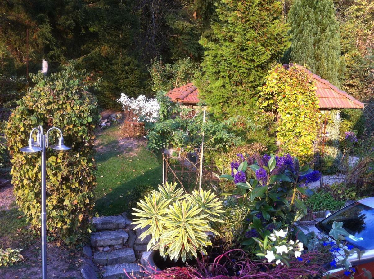 Ferienwohnung Wildenreuth Weidenberg Экстерьер фото