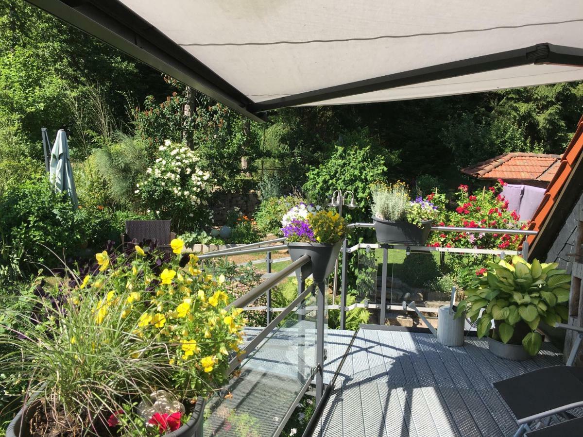 Ferienwohnung Wildenreuth Weidenberg Экстерьер фото